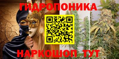 гидропоника Жуковский